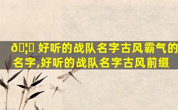 🦍 好听的战队名字古风霸气的名字,好听的战队名字古风前缀